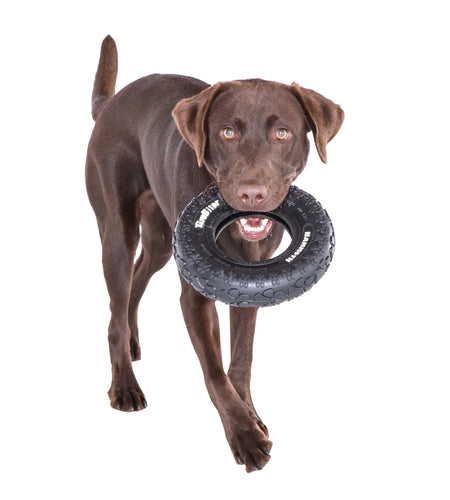 Tirebiter Original Rubber Dog Toy, Medium, 8", Assorted Colors